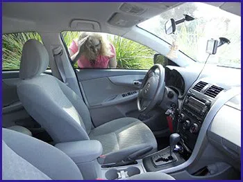 Mount Hope RI Locksmith Store Mount Hope, RI 401-321-2560